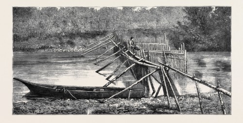 A SALMON WEIR NEAR THE QUAMICHAN INDIAN VILLAGE ON THE COWICHAN RIVER, VANCOUVER ISLAND, CANADA