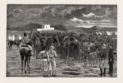 THE REBELLION IN THE SOUDAN - CAMELS AND CATTLE CAPTURED FROM HOSTILE TRIBES DURING A CAVALRY