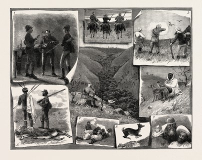 BUCK HUNTING AT THE CAPE: 1. An Early Refresher. 2. The Start. 3. A Partridge by the Way. 4.