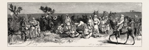 THE REBELLION IN THE SOUDAN (SUDAN), WITH BAKER PASHA'S EXPEDITION TO RELIEVE TOKAR: EGYPTIAN