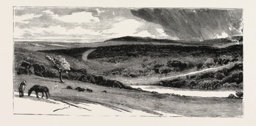 EPPING FOREST, VIEW FROM HIGH BEECH, UK