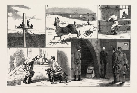THE EASTER VOLUNTEER MANOEUVRES AT PORTSMOUTH, UK: 1. Signalling to the Front the Advance of No. 2