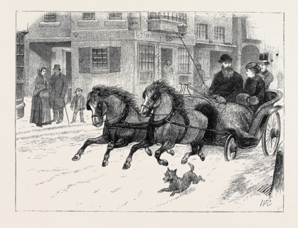 BLACK SPIRITS AND WHITE BY FRANCIS ELEANOR TROLLOPE: Major Maude and Rosamond in the phaeton
