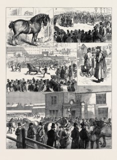THE ANNUAL STALLION SHOW OF THE GLASGOW AGRICULTURAL SOCIETY: 1. Darnley (1st Prize); 2. The Judges