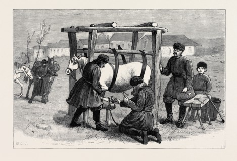 THE EASTERN QUESTION, RUSSIA: SHOEING HORSES IN THE CAMP AT KISCHINEFF