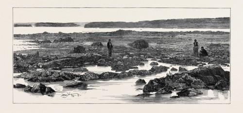 THE IMPENDING WAR, THE "IRON GATE" ON THE DANUBE