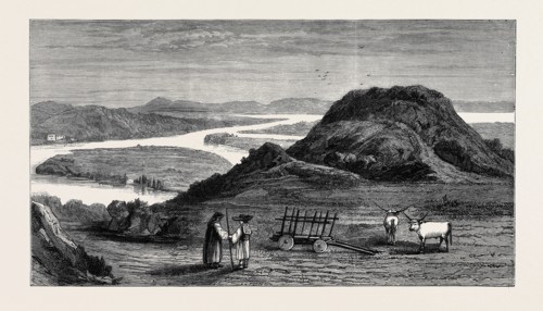 THE RUSSO-TURKISH WAR: CAPUT BOVIS AND THE JUNCTION OF THE SERETH WITH THE DANUBE