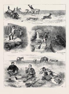 LIFE IN MANITOBA, BRITISH NORTH AMERICA