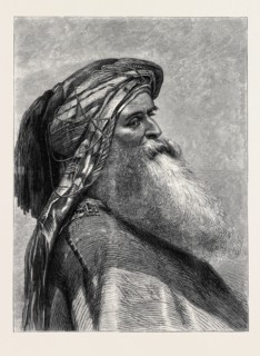 THE SHEIKH