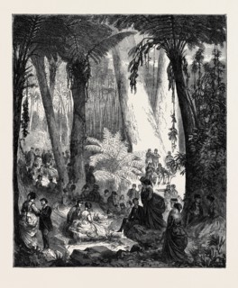 PICNIC IN AUSTRALIA TO THE OFFICERS OF THE FLYING SQUADRON, 1870