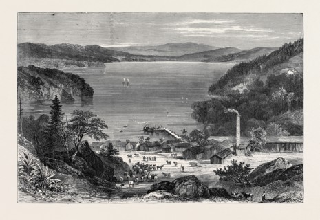 AUSTRALIAN MEAT CURING ESTABLISHMENT, LAKE BROADWATER, 1870