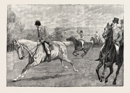 HOUSE OF COMMONS POINT-TO-POINT STEEPLECHASE NEAR DAVENTRY: MR. A.E. PEASE WINNING ON NORA CREINA.