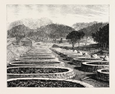 MIDDLESBOROUGH, KENTUCKY: CHARCOAL FURNACE, USA