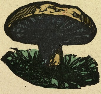 illustration of English tales, folk tales, and ballads. A mushroom