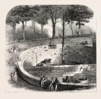 THE BEAR-PIT AT BERNE, SWITZERLAND.