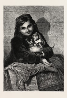 TWO LITTLE MONKEYS, BY MRS. ELIZABETH MURRAY, IN THE EXHIBITION OF THE SOCIETY OF FEMALE ARTISTS