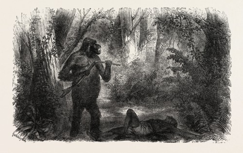 A HUNTER KILLED BY A GORILLA