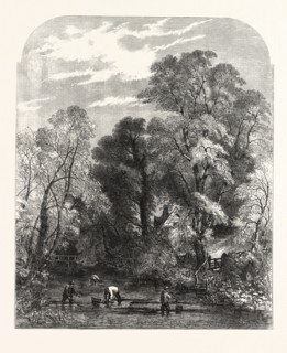 WATERCRESS-GATHERING, DRAWN BY S. READ