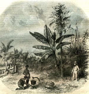 Guadeloupe, France, 1851