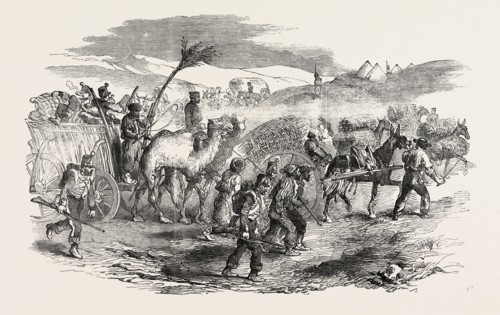 THE CRIMEAN WAR: THE ROAD TO SEBASTOPOL: COMMISSARIAT WAGGONS, CONVEYANCE OF FASCINES, 1854