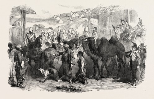 THE CRIMEAN WAR: STREET IN BALACLAVA, 1854