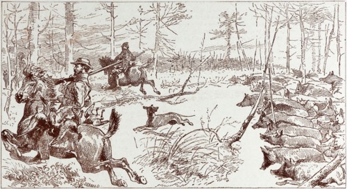 A SHOOTING EXCURSION IN TURKEY: OUR HORSES ARE SEIZED, WITH PANIC, AND STAMPEDE MADLY THROUGH THE