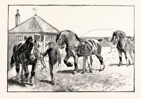 A PARADE IN FRONT OF THE PAVILION IN MR. GILBEY'S PADDOCKS AT ELSENHAM