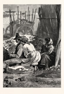 IN THE SUNNY SOUTH, PACKING ORANGES IN THE MARKETPLACE AT SEVILLE, SPAIN