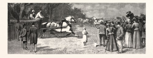 THE LONDON CART HORSE PARADE ON WHIT-MONDAY: A COMPETITOR ENTERING THE SHOW GROUND, UK