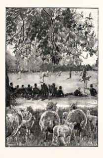 A BOY'S LIFE AT ETON: OH! WELL HIT! A CRICKET MATCH IN THE PLAYING FIELDS, UK