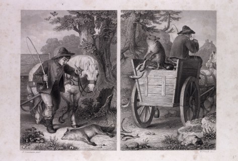 Reynard and the fish cart