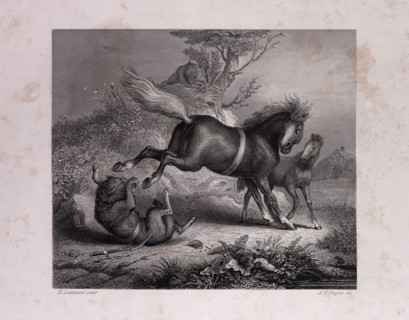 The Mare and the Wolf