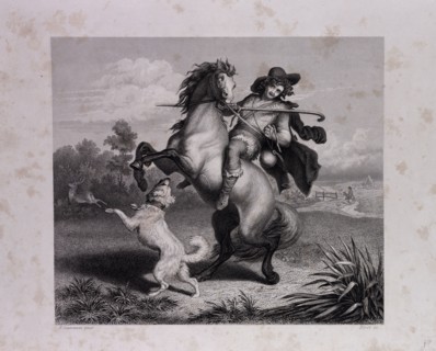 The Envious Horse