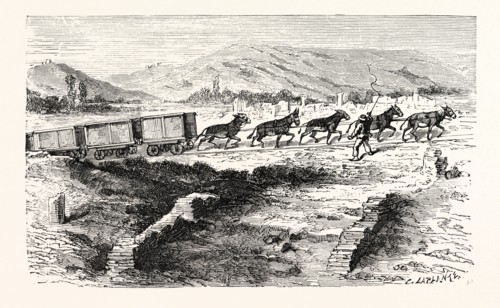 CARTING AWAY THE RUBBISH.