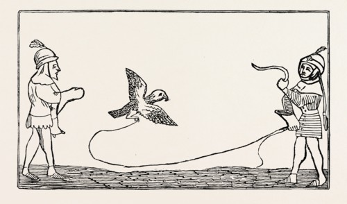 THE LURE