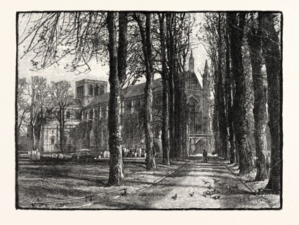 WINCHESTER CATHEDRAL