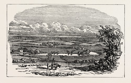 RUNNYMEDE
