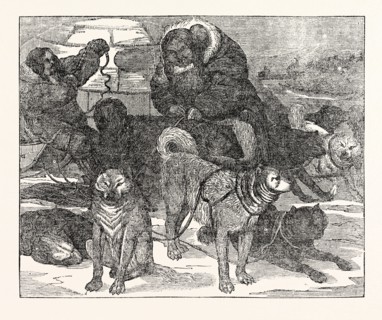 Eskimaux harnessing their Dogs to a Sledge