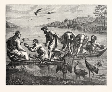THE MIRACULOUS DRAUGHT OF FISHES