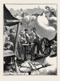 SKETCHES AT A NORTHAMPTON WOOL FAIR: WEIGHING-IN