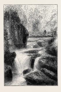 THE CINCHONA PLANTATIONS AT DARJEELING, BENGAL: FOOT-BRIDGE OVER THE RIVER RUNGBEE