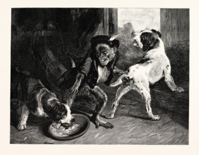 THE INTRUDING PUPPIES