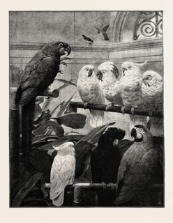 "A SELECT COMMITTEE"