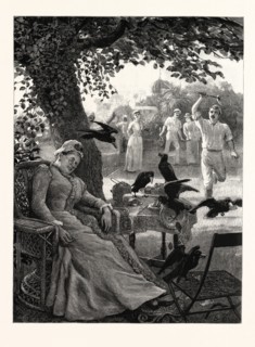 UNWELCOME VISITORS: CROWS AT A TENNIS PARTY IN INDIA