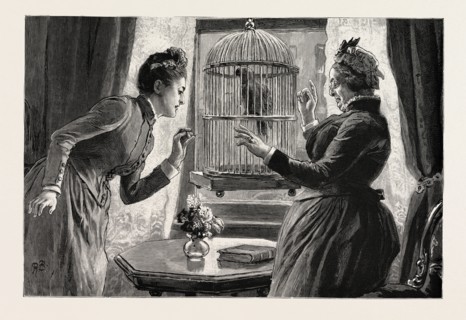 THE PARROT AND THE CABBIES, AN INCIDENT AT A SEASIDE HOLIDAY RESORT: THE CAUSE (THE PARROT HAS