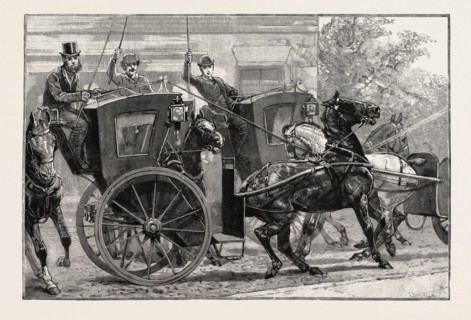 THE PARROT AND THE CABBIES, AN INCIDENT AT A SEASIDE HOLIDAY RESORT: THE EFFECT OF A PARROT MAKING