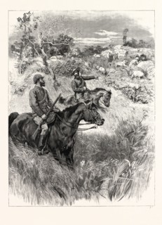 LORD RANDOLPH CHURCHILL IN SOUTH AFRICA: A MEETING WITH A TROOP OF LIONS