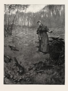 TESS OF THE D'URBERVILLES: "The plantation wherein she had taken shelter ran down at this spot into