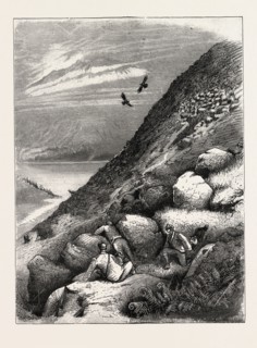 DEER STALKING IN THE FOREST OF THE BLACK MOUNT, ARGYLLSHIRE: ABOVE LOCH ETTIVE, A BAD MISS AFTER A
