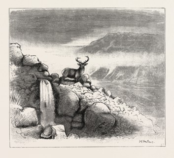 DEER STALKING IN THE FOREST OF THE BLACK MOUNT, ARGYLLSHIRE: THE FIRST SHOT